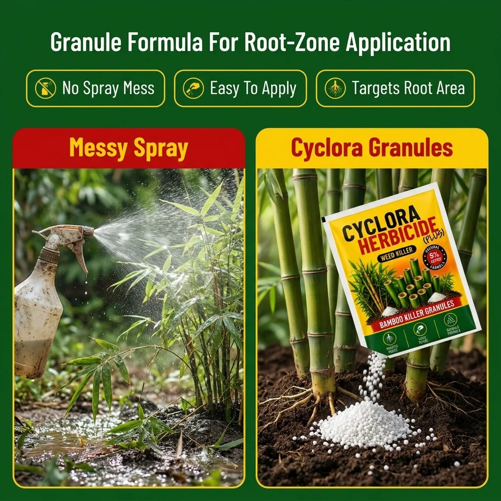 CYCLORA HERBICIDE PLUS WEED KILLER GRANULES (PACK OF 2 × 250G)